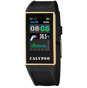 Calypso SmarTime K8502/4