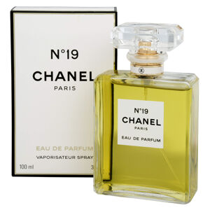 Chanel No. 19 - EDP 100 ml