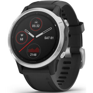 Garmin Fenix 6S Silver/Black Band 010-02159-01