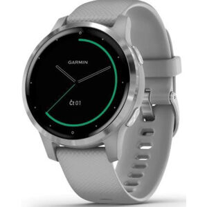 Garmin VívoActive4S Silver/Gray Band