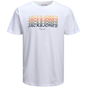 Jack&Jones PLUS Férfi póló JORBRADY 12205929 Bright White XXL