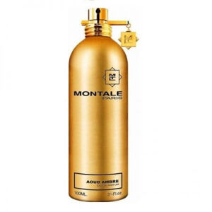 Montale Aoud Ambre - EDP 2 ml - illatminta spray-vel