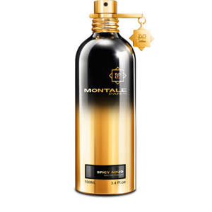 Montale Spicy Aoud - EDP 100 ml