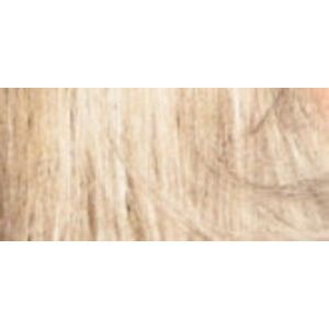 Schwarzkopf Palette Intensive Color Creme állandó hajfesték 10-1 (C10) Hideg ezüstszőke