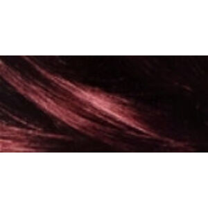 Schwarzkopf Palette Intensive Color Creme állandó hajfesték 4-89 (RFE3) Intenzív sötétlila