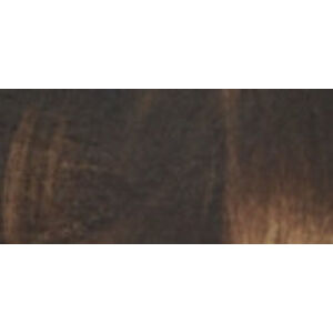 Schwarzkopf Perfect Mousse hajfesték (Foam Coloration) 6-00 (600) Világosbarna