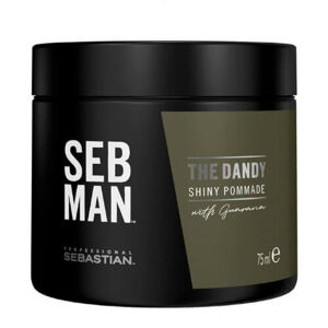 Sebastian Professional Hajpomádé SEB MAN The Dandy (Shiny Pommade) 75 ml