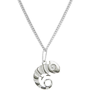 Praqia Jewellery Gyerek ezüst nyaklánc Kaméleon Oskar KO6151_CU025_40_A_RH (lánc, medál)