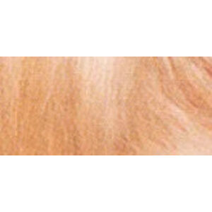 Garnier Természetes gyengéd hajfesték  Color Sensation 10.21 Perlová Blond