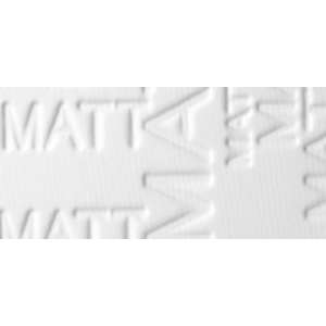 Catrice Matt hatású púder All Matt Plus (Shine Control Powder) 10 g 001 Universal