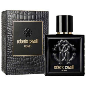 Roberto Cavalli Roberto Cavalli Uomo - EDT 100 ml