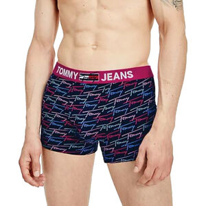 Tommy Hilfiger Férfi boxeralsó  UM0UM02181-0L6 L