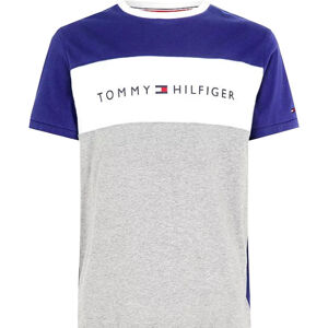 Tommy Hilfiger Férfi póló  Regular Fit UM0UM01170-DY4 M