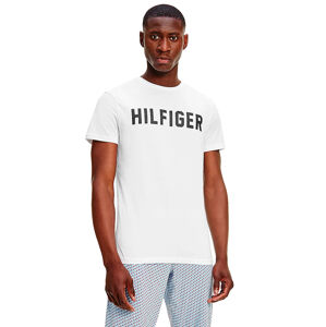 Tommy Hilfiger Férfi póló UM0UM02011-YBR M