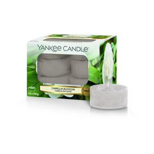 Yankee Candle Teagyertya Camellia Blossom 12 x 9,8 g