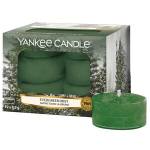 Yankee Candle Aromás teagyertyák Evergreen Mist 12 x 9,8 g