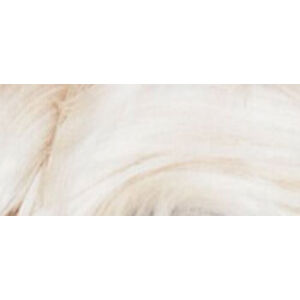 L´Oréal Paris Világosító hajfesték Blondissimes Préférence Extreme Platinum